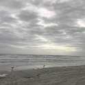 IMG 8740