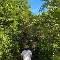IMG 8942