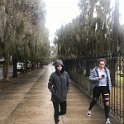 IMG 9384