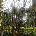 IMG 9391
