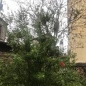 IMG 9392