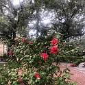 IMG 9420