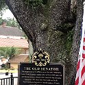 IMG 9501
