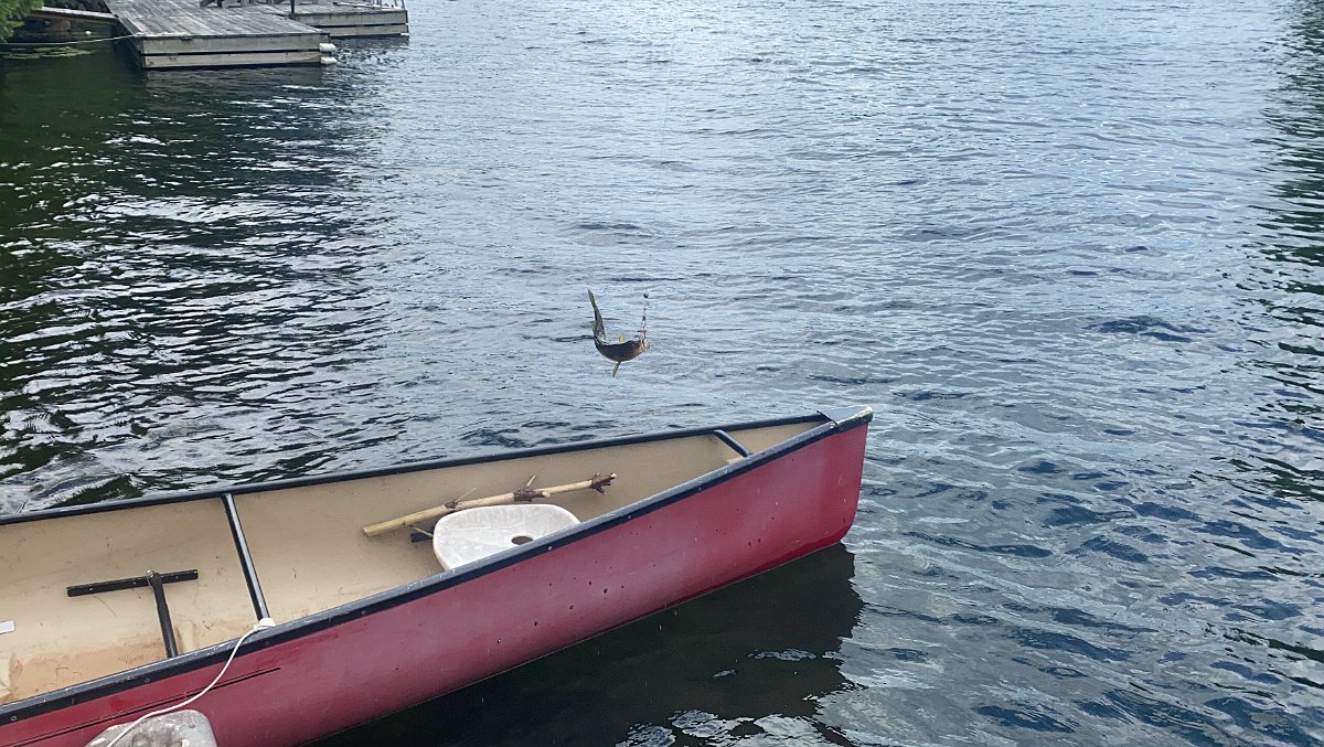 Cottage_July2020_0211
