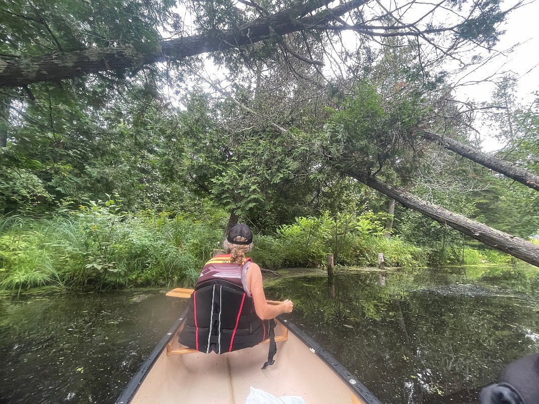 Cottage_Aug2021 (115)