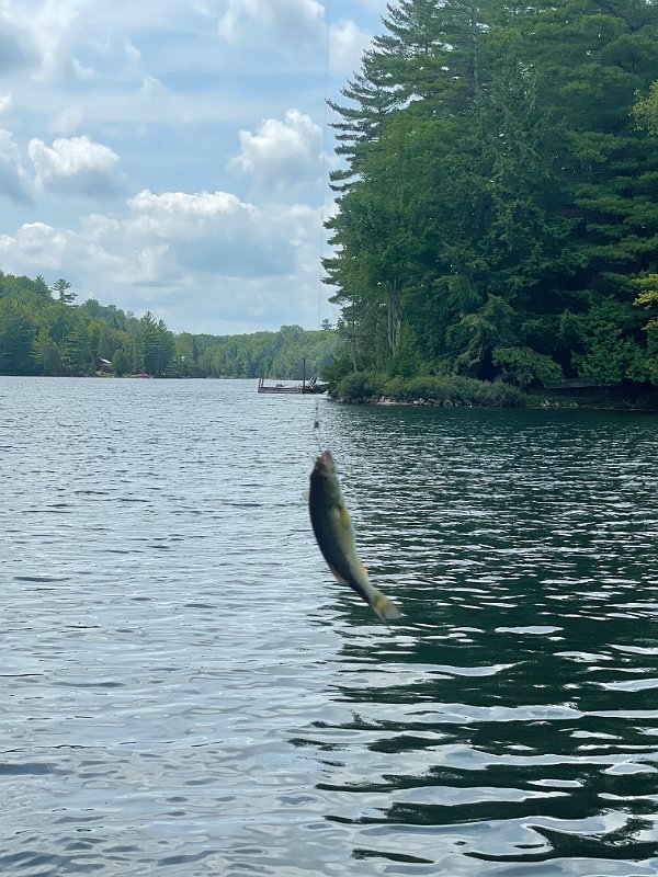 Cottage_Aug2021 (128)