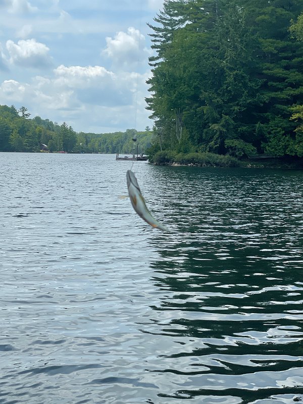 Cottage_Aug2021 (129)