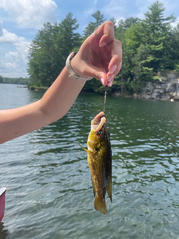 Cottage_Aug2021 (132)