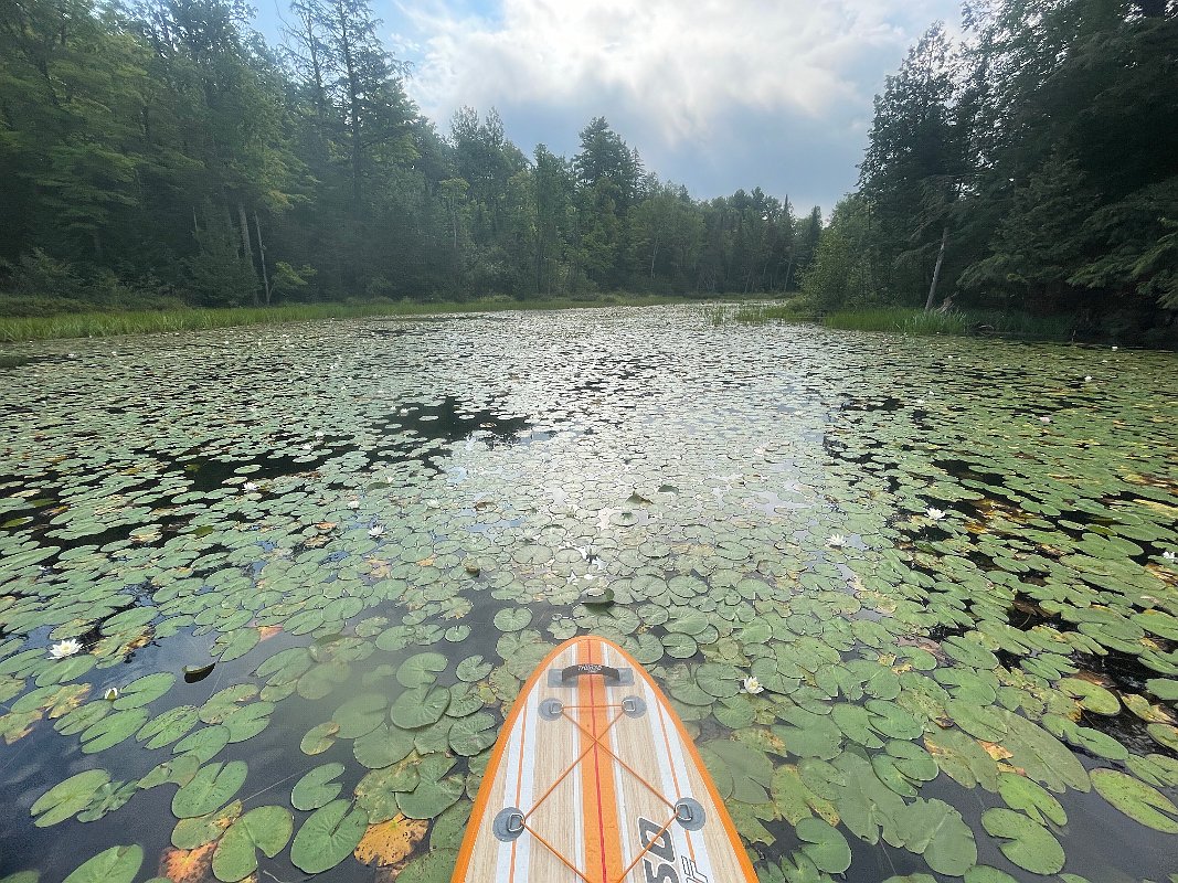 Cottage_Aug2021 (148)