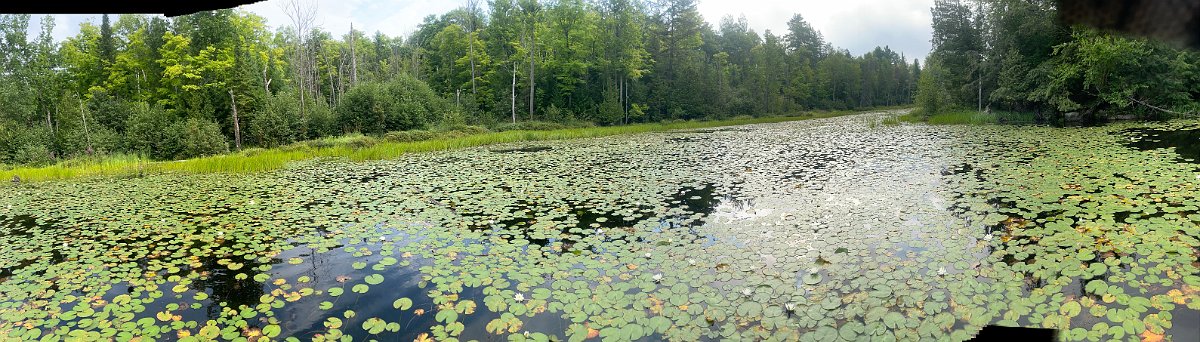 Cottage_Aug2021 (149)