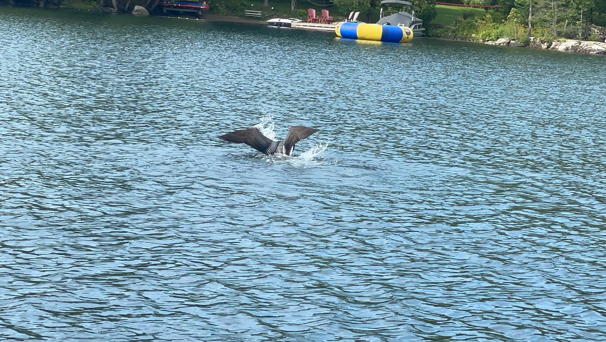 Cottage_Aug2021 (155)