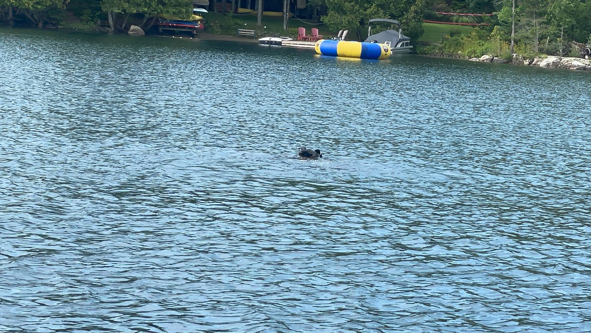 Cottage_Aug2021 (156)