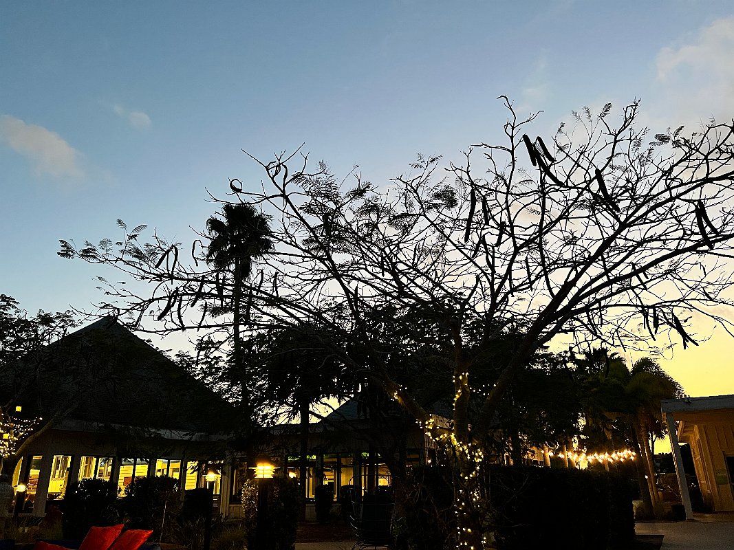 ClubMed_Mar2022 (84)