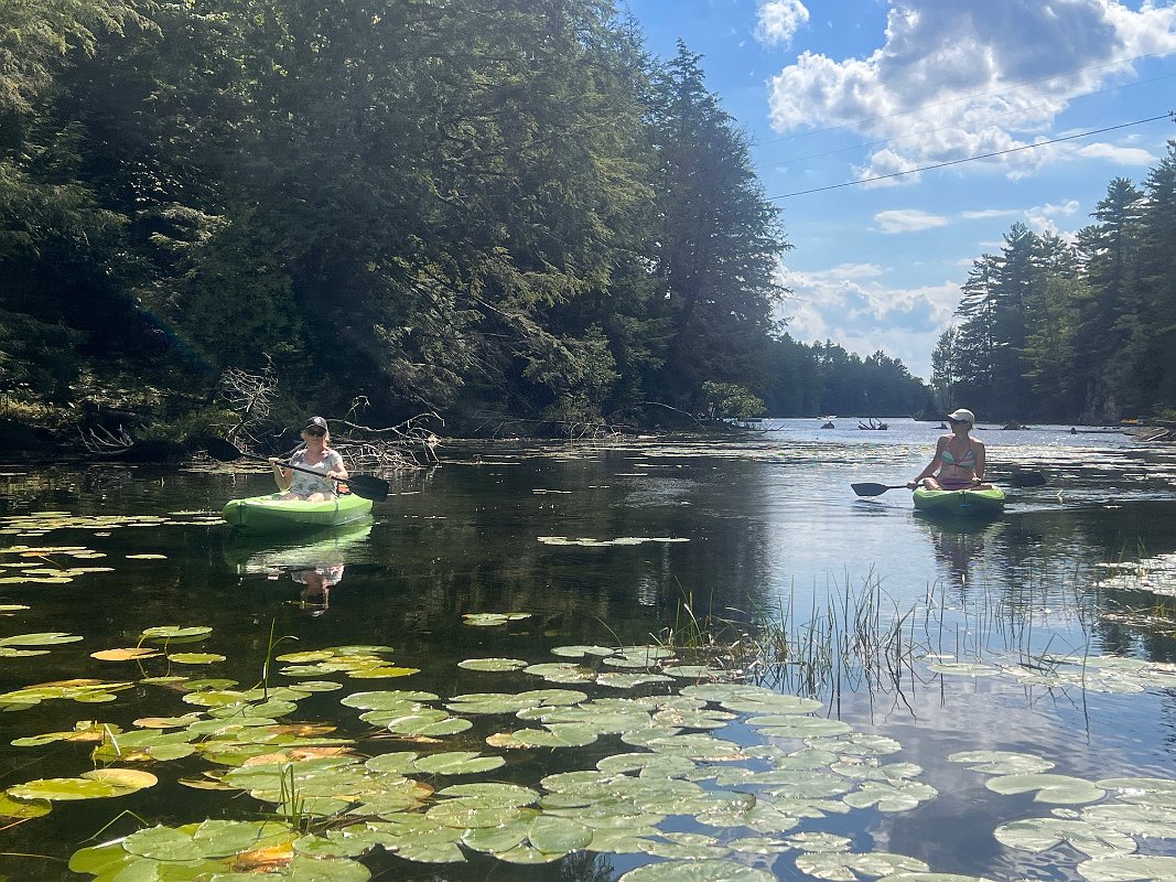 Cottage_Aug2022 (119)