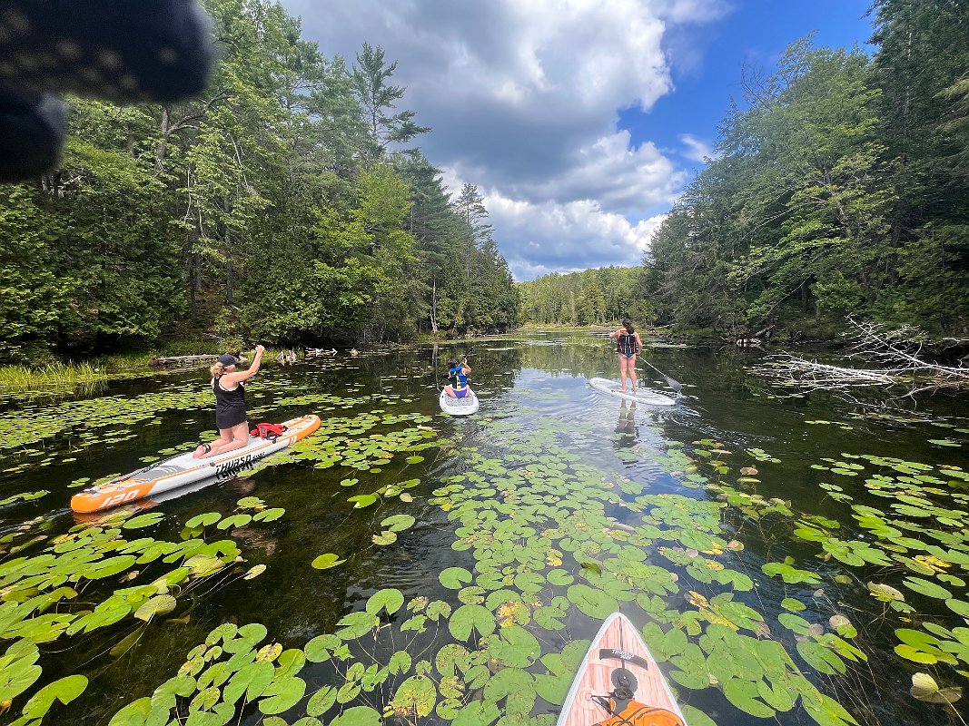 Cottage_Aug2022 (47)