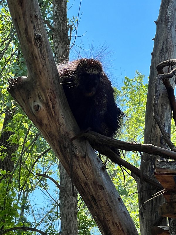 Zoo_Ecomuseum_Jun2022 (15)