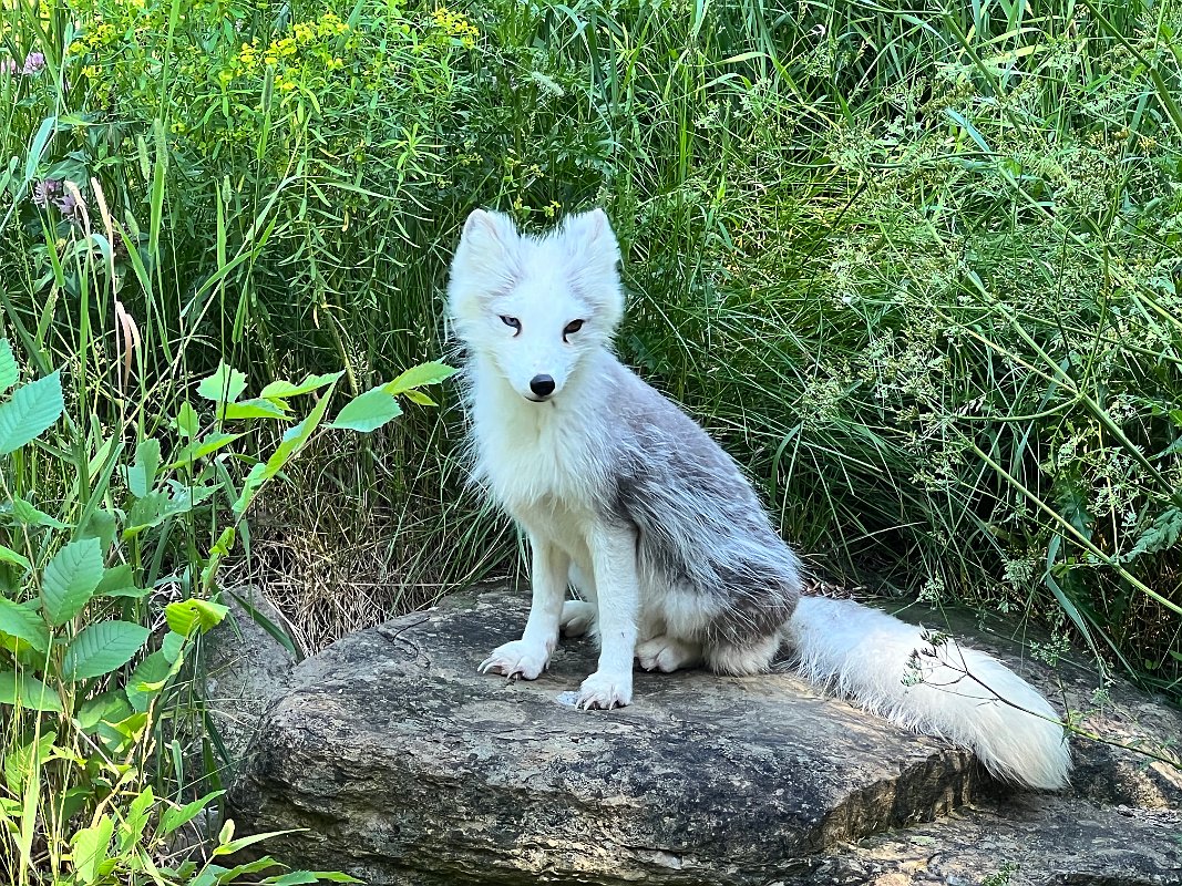 Zoo_Ecomuseum_Jun2022 (7)