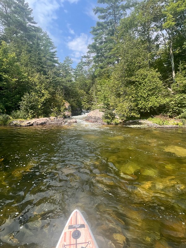 Cottage_Aug2023 (48)