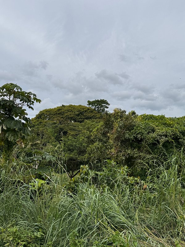 Jamaica_Dec2023 (45)