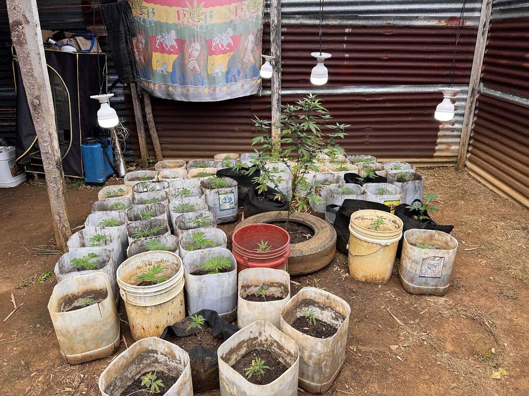 Jamaica_Dec2023 (82)