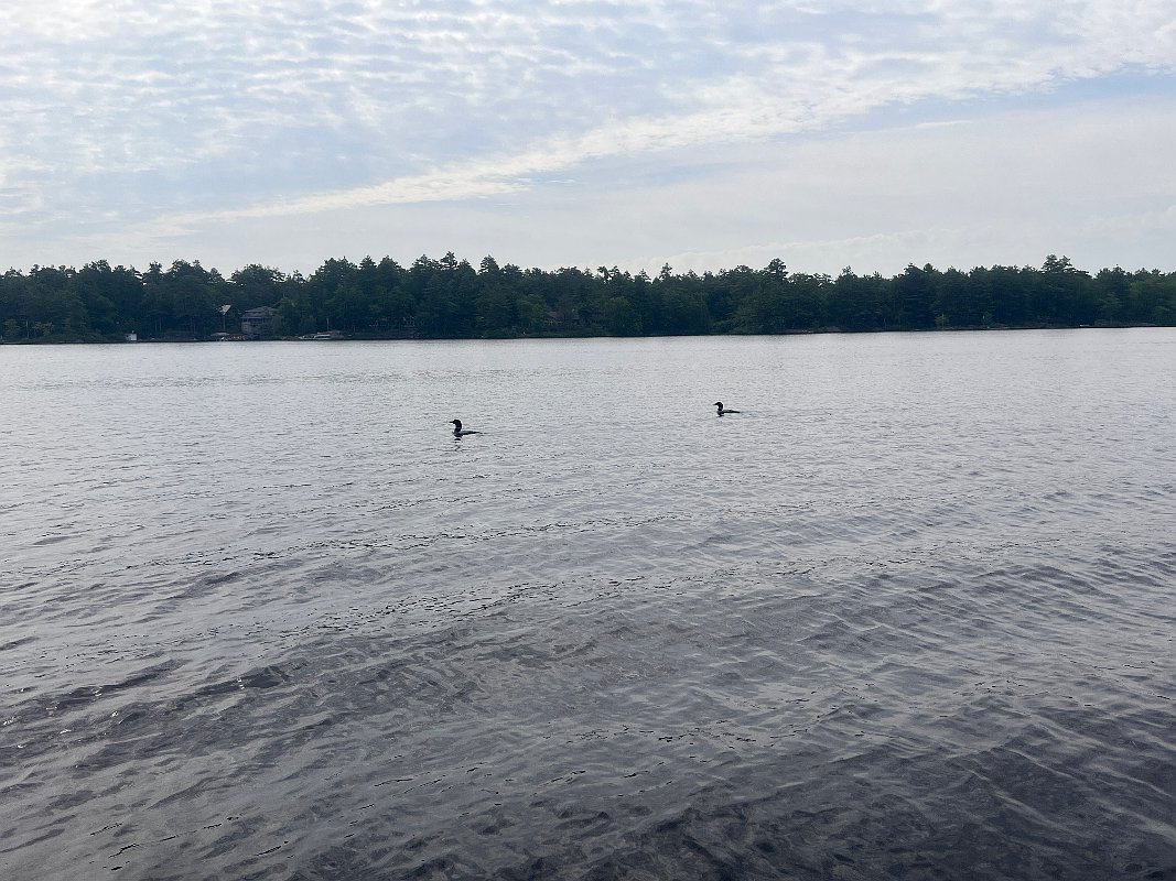 Muskoka_Cottage_Jul2023 (55)