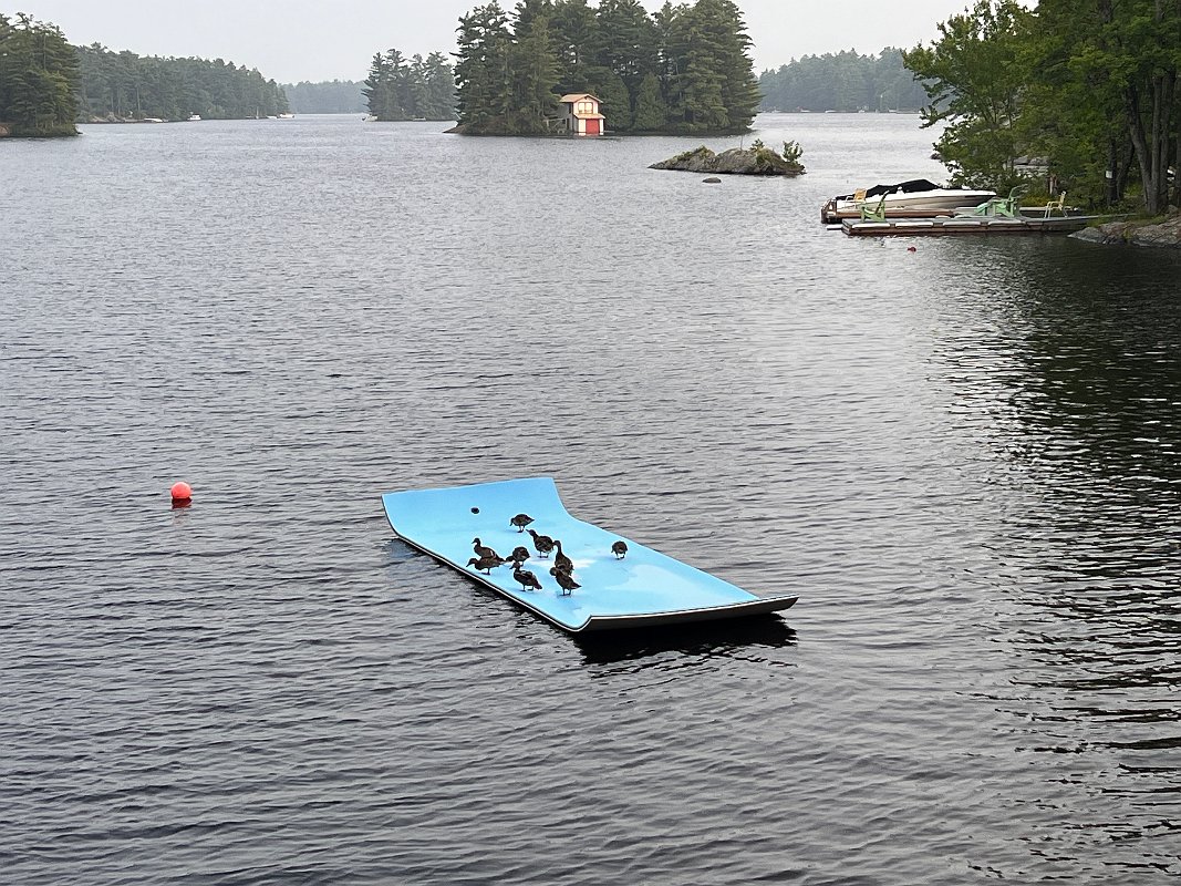 Muskoka_Cottage_Jul2023 (8)