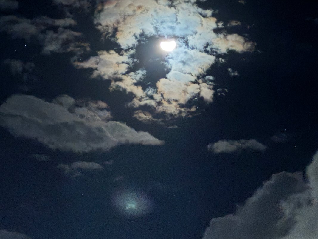 Club_Med_Turks_Dec2024 (10)